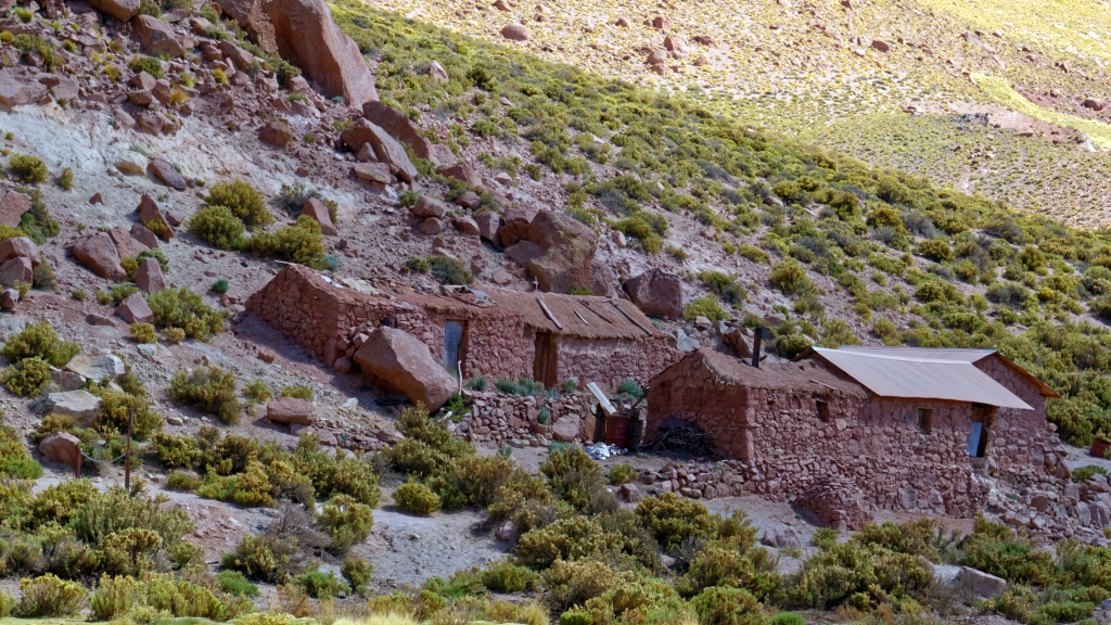 01 - Désert d'Atacama (36).jpg